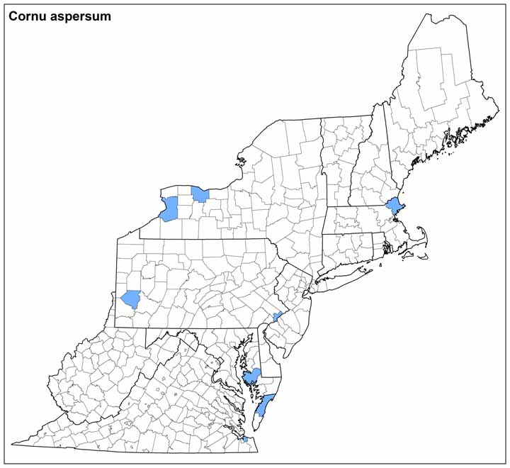 Cornu aspersum Range Map